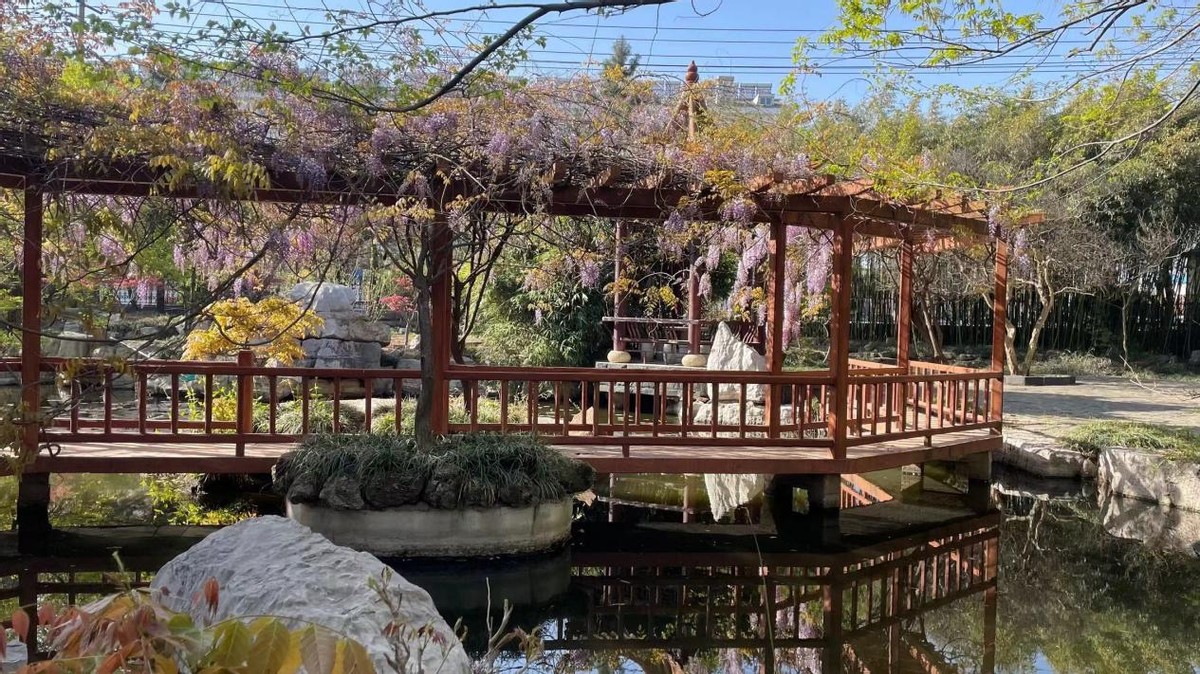 踏青寻找春季最美的时光,寻找最美春天春花烂漫正当时