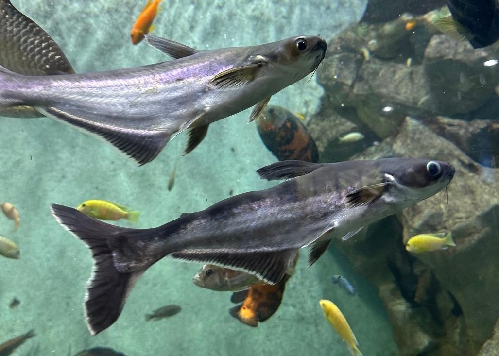 上海动物园一日游攻略,好玩不累的体验分享,附加避雷指南!