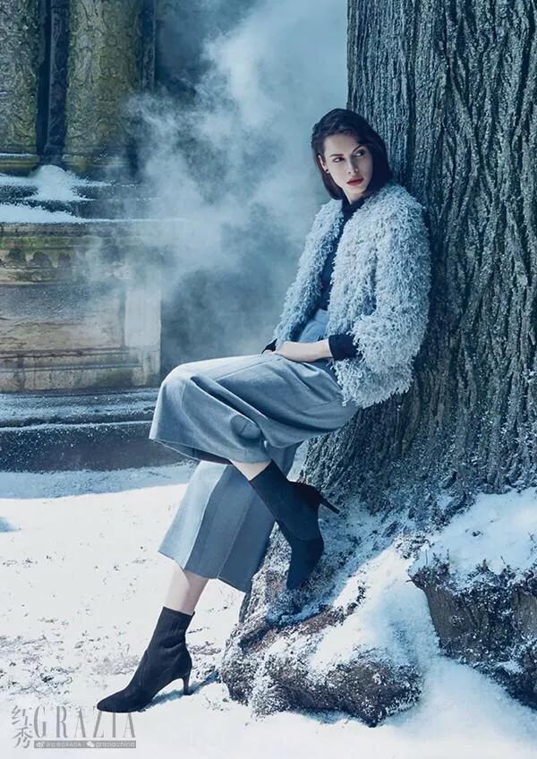 夏洛特坎普米尔斯,夏洛特坎普charlotte