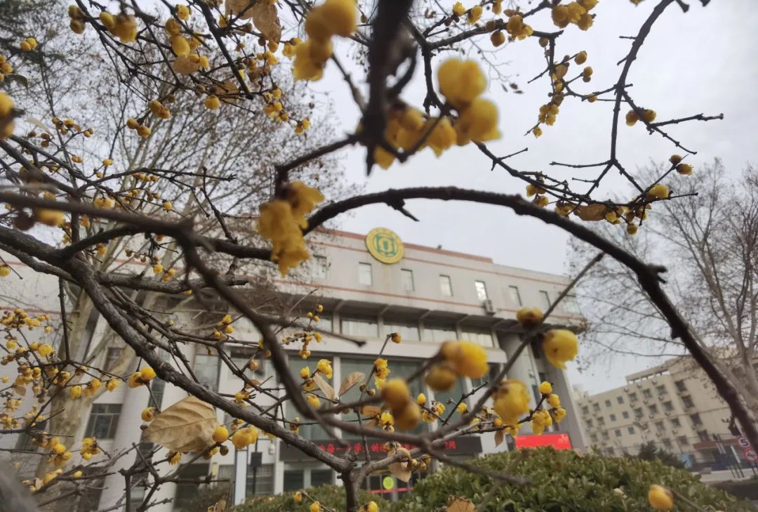 诗词里的校园,春日校园美景诗句