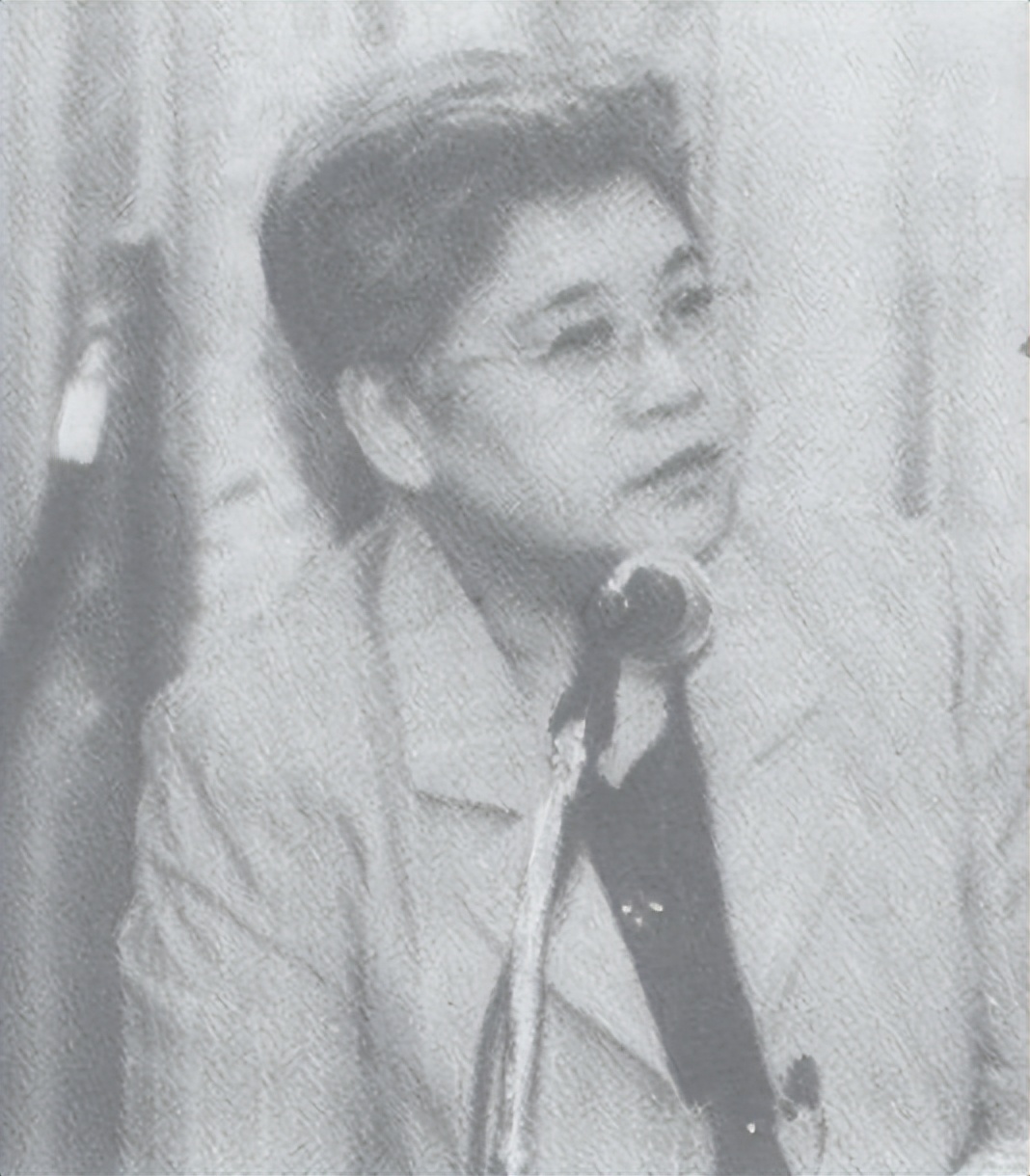 她是中国外交界的明星,基辛格称她可以竞选美国总统,80岁仍未婚