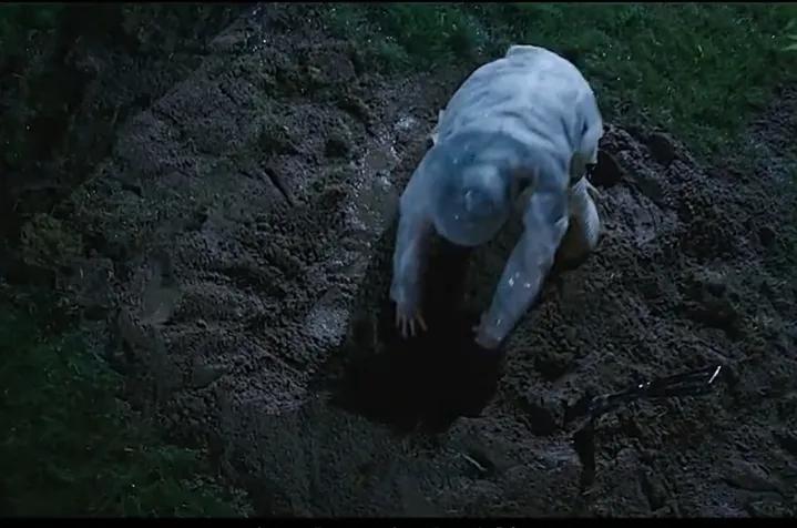 这个男人有点狠动漫合集,这个男人有点狠完整视频