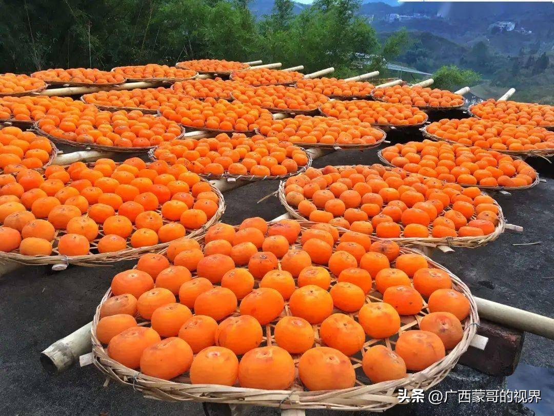 广西芋头贡品,古代广东十大贡品