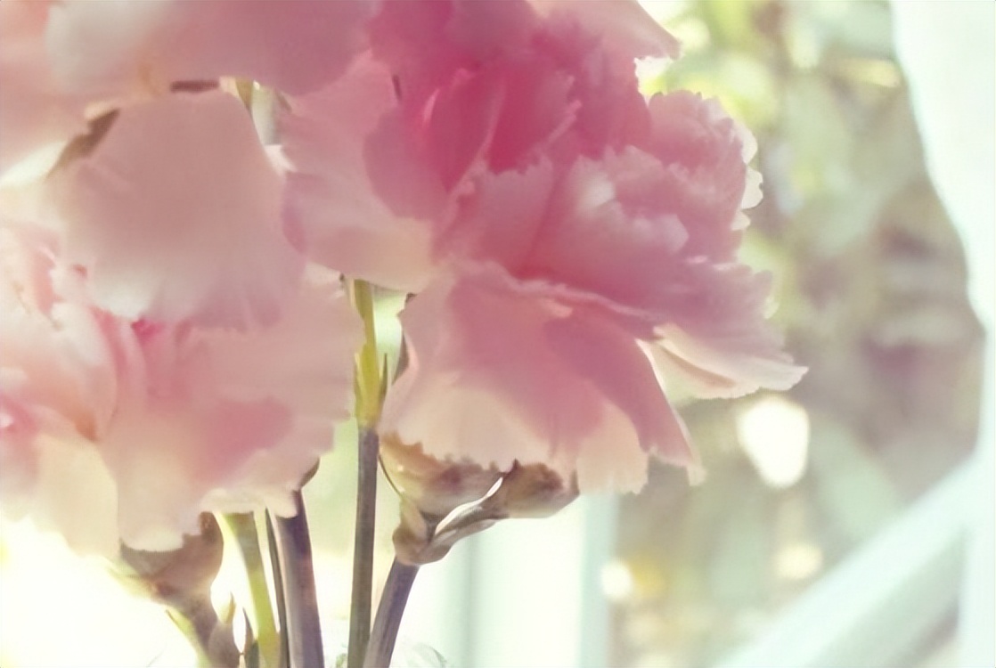 女人没钱时怎么对自己好,女人越来越没钱