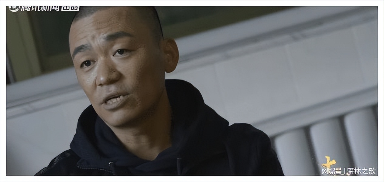 内娱文盲遍地,吐槽内娱文盲