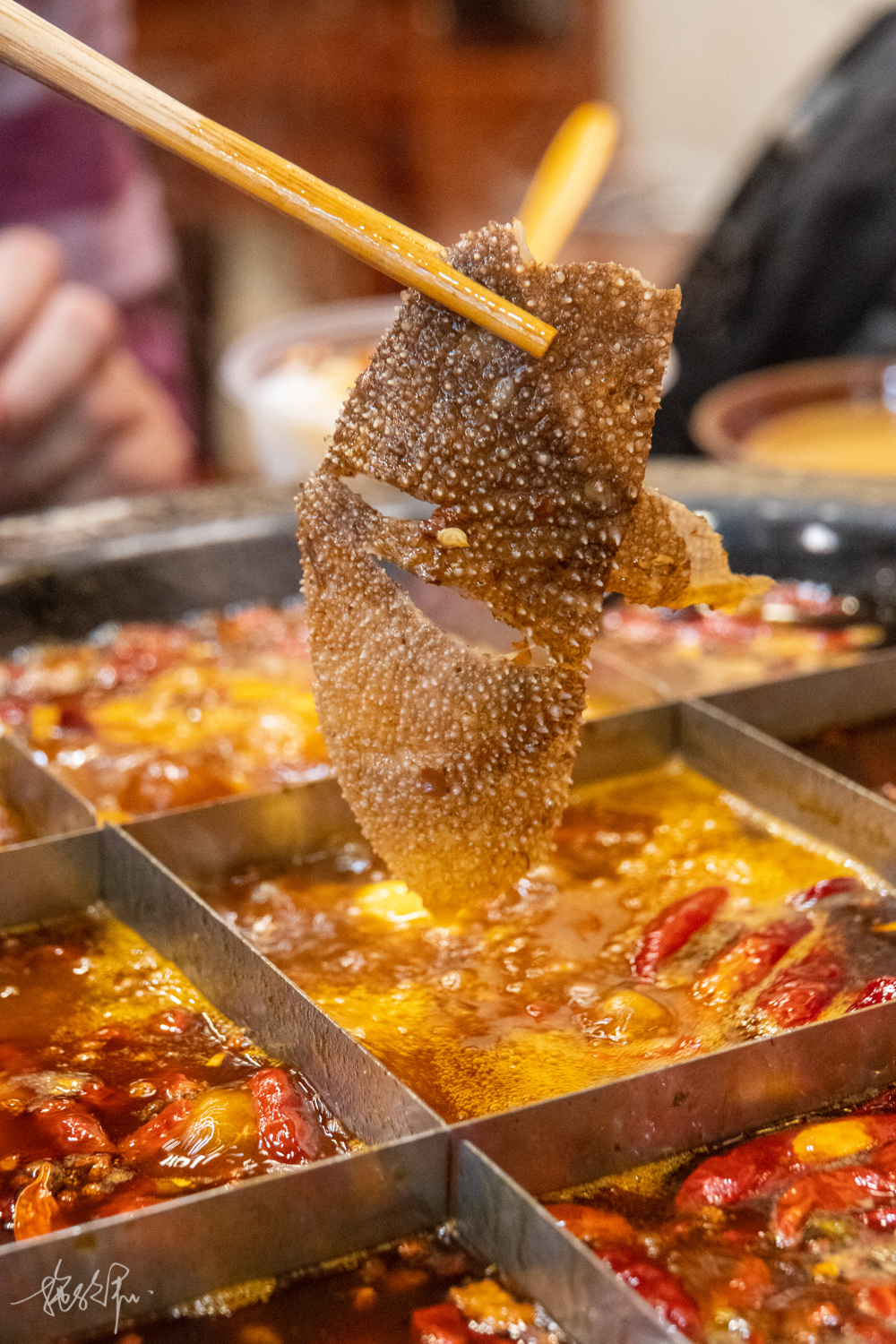 我的2022年度报告,我的2022原版