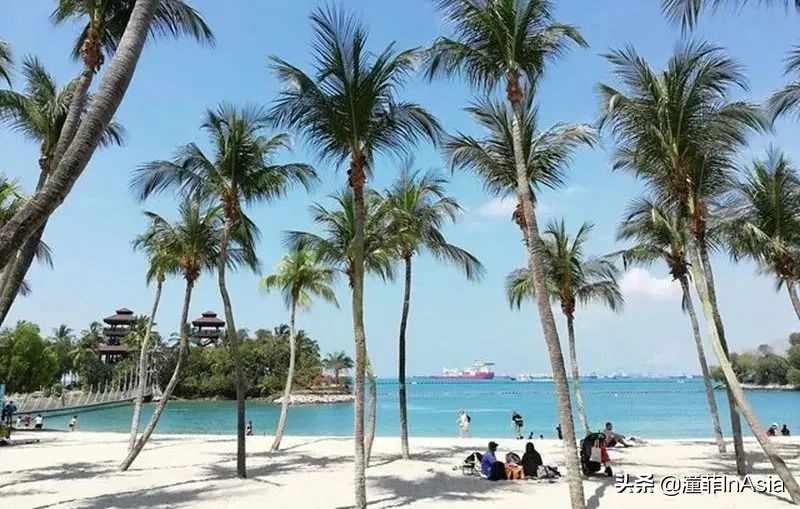 新加坡樟宜机场城市观光免费巴士,新加坡环线巴士