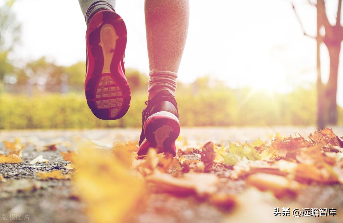 李宁三大主打科技哪个最好,李宁引领科技发展