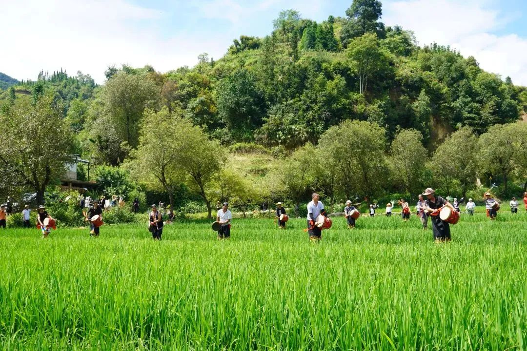 共创乡村振兴发展新格局,全面推进乡村振兴打造五美乡村