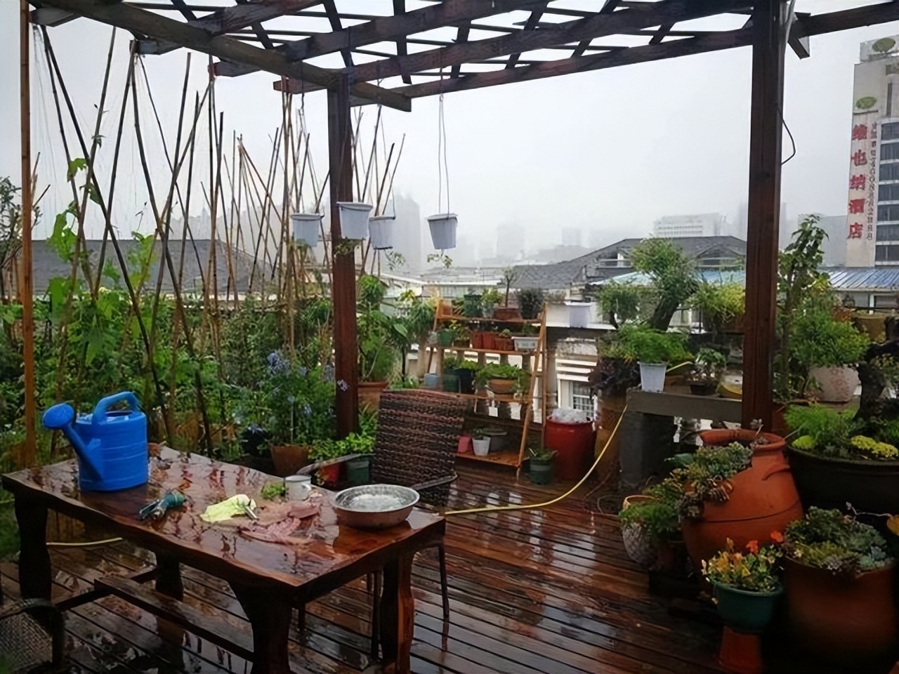 楼顶露台养花夏季怎么养,顶楼露台养花最佳方案