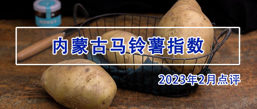 马铃薯哪个品种产量高好卖,马铃薯市场行情及产业形势分析