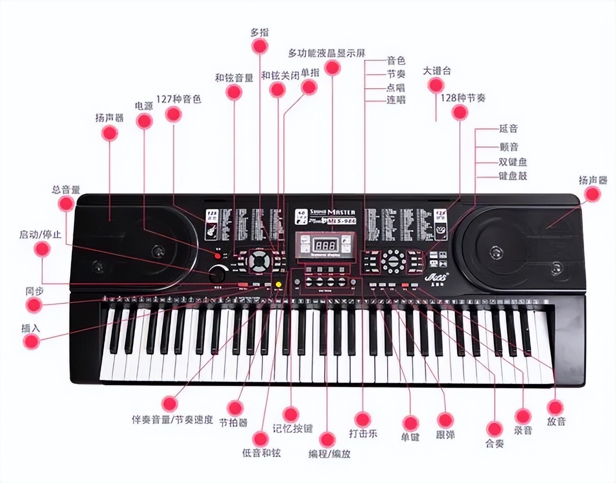 怎么学电子琴的弹法,怎么学电子琴谱