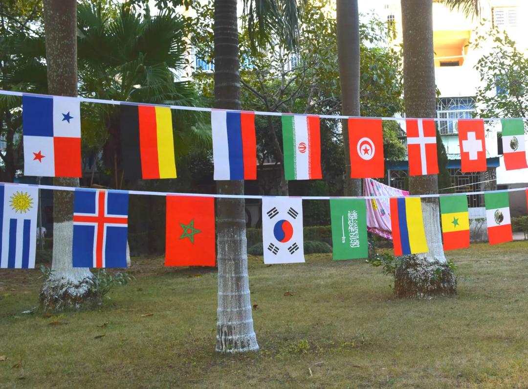 谁懂啊！回南天的养狗人家，惨过住鸡圈！pang臭！