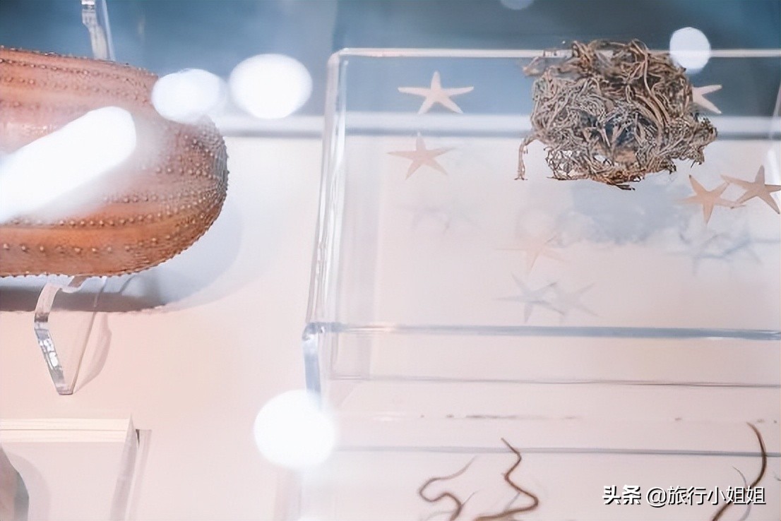 夏日海边浪漫迷人,滨城风光秀丽浪漫气息爆表