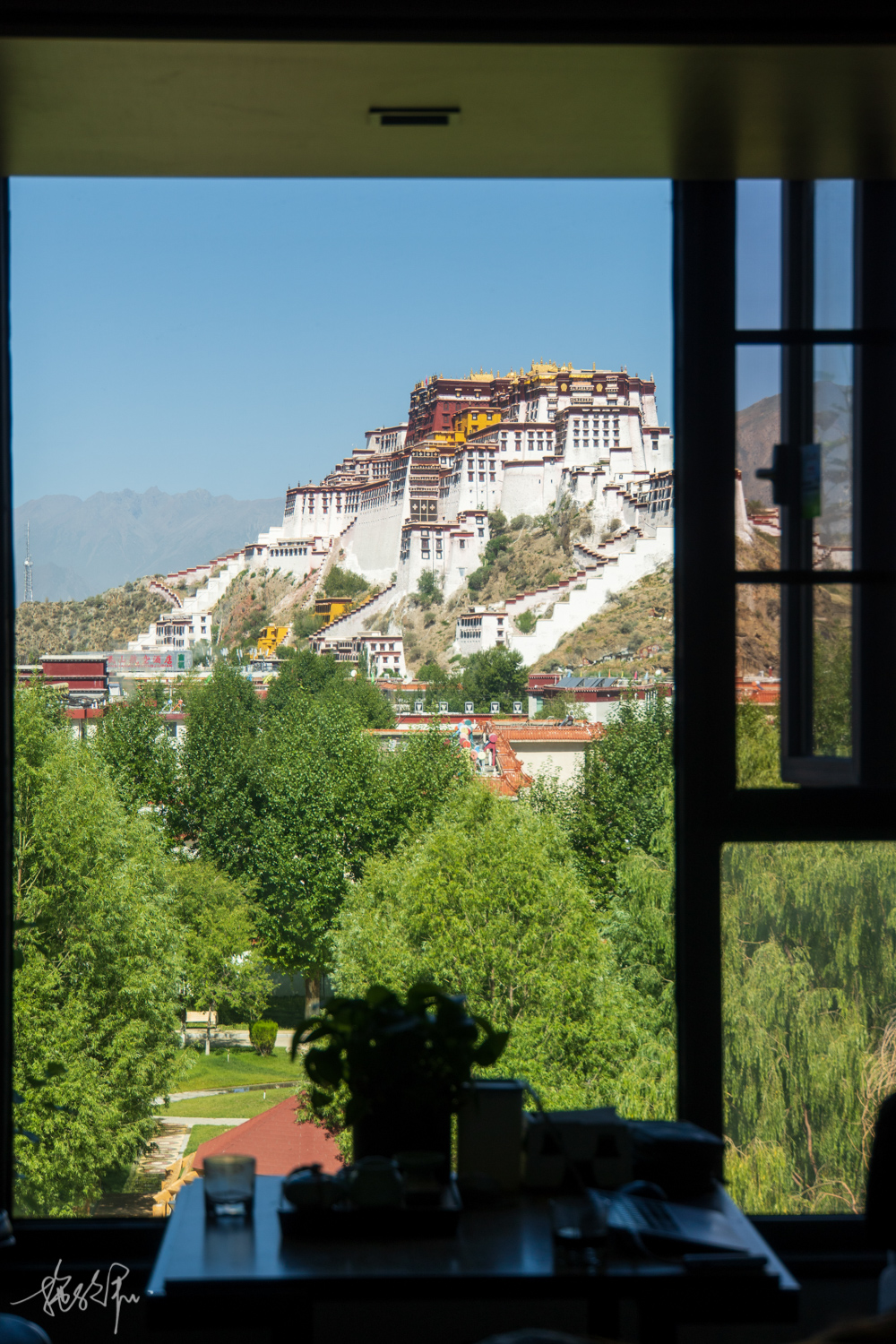 我的2022年度报告,我的2022原版