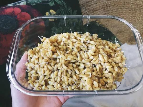 在美国可以吃到的蔬菜,美国超市里的菜都有哪些