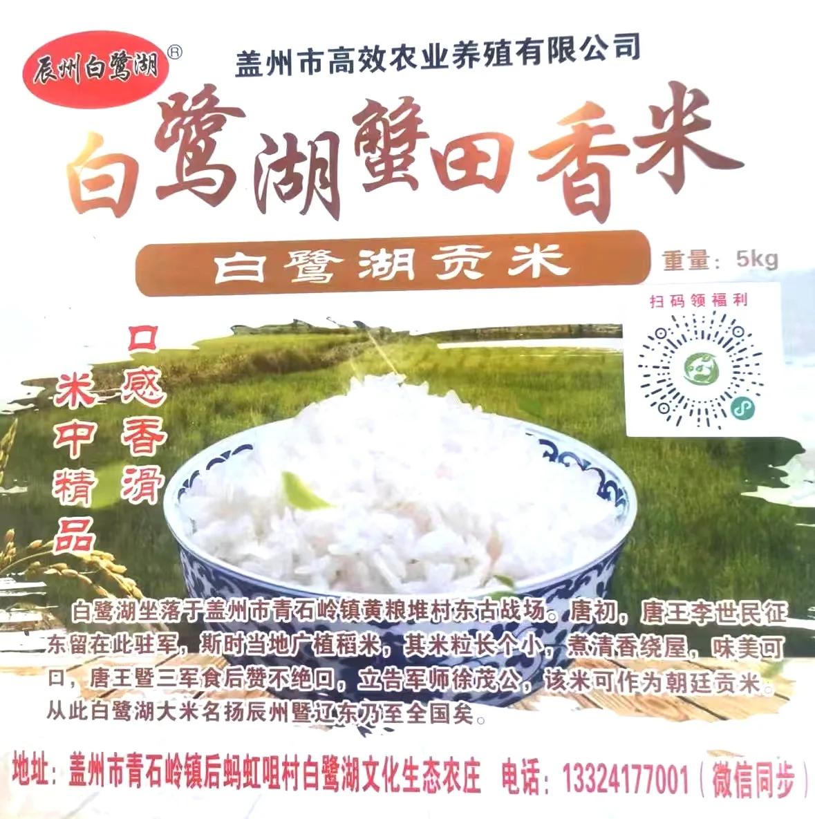 沈阳芙蓉山社区精心为社区老年居民准备的“音•为有你音乐课堂”正式启航