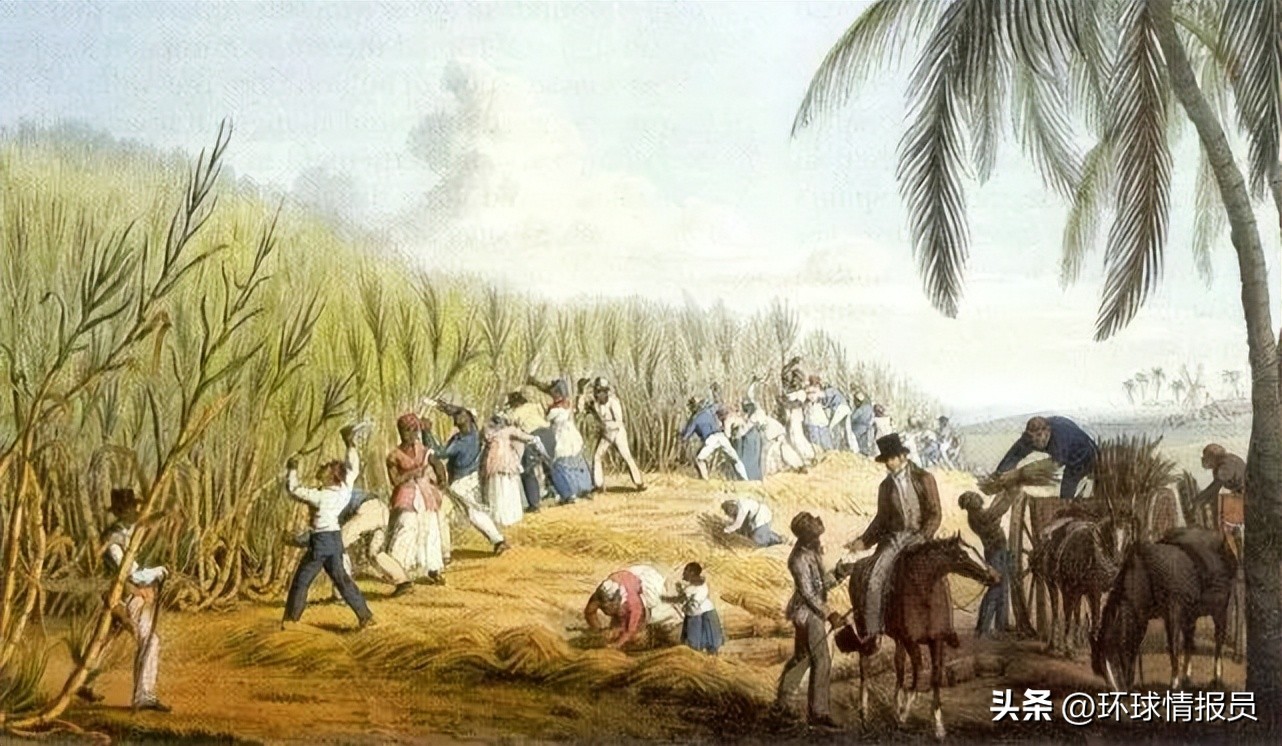 法国和荷兰合起来是什么国,荷兰国和法国