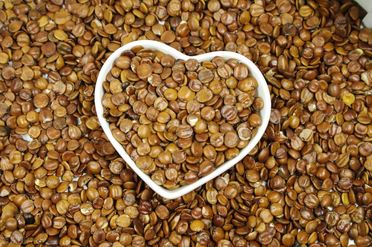 失眠最怕这七种食物,失眠最怕的七种食物