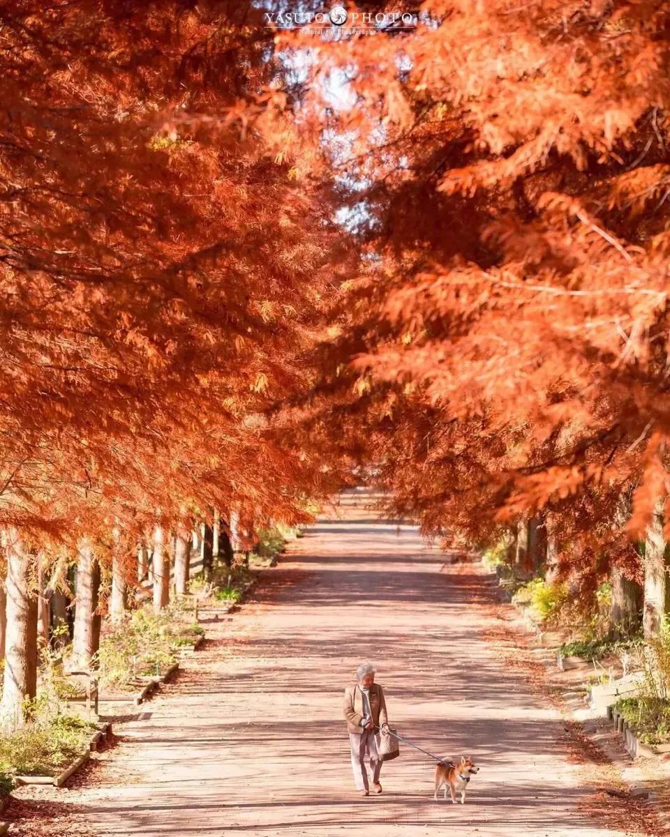桂林美女模特,桂林美女相册