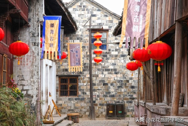 中国杨梅之乡浙江丈亭,中国杨梅之乡三洲