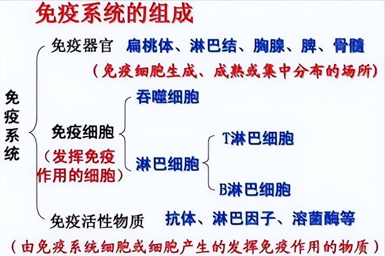 医生才知道的9种妇科问题,如何确定卵巢早衰与否