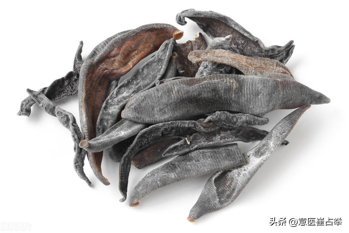 为什么水蛭不能长期服用,炙水蛭和水蛭的区别