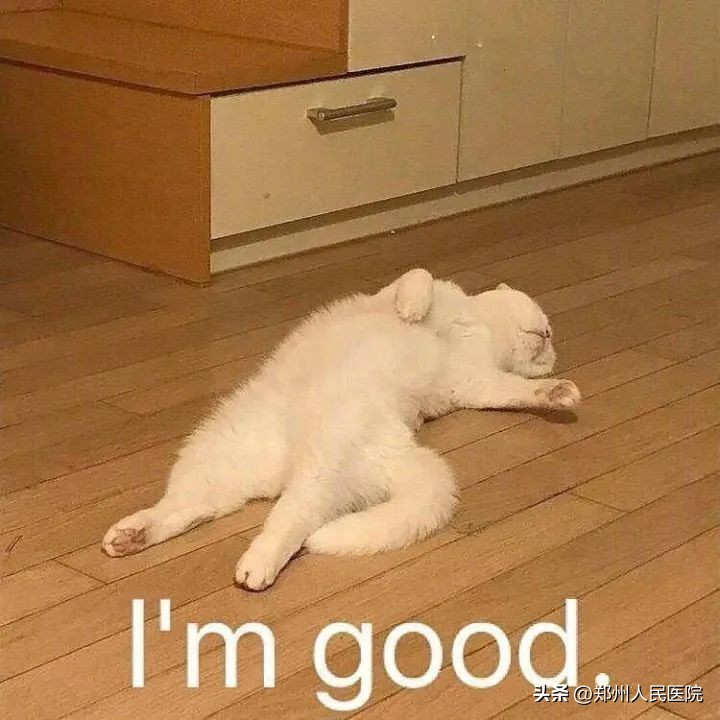 “液断”、“碳断”、“蛋断”？我怀疑你在整我……