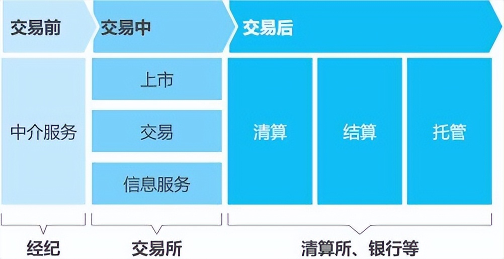 风口的猪全部小说,风口上的猪完整版