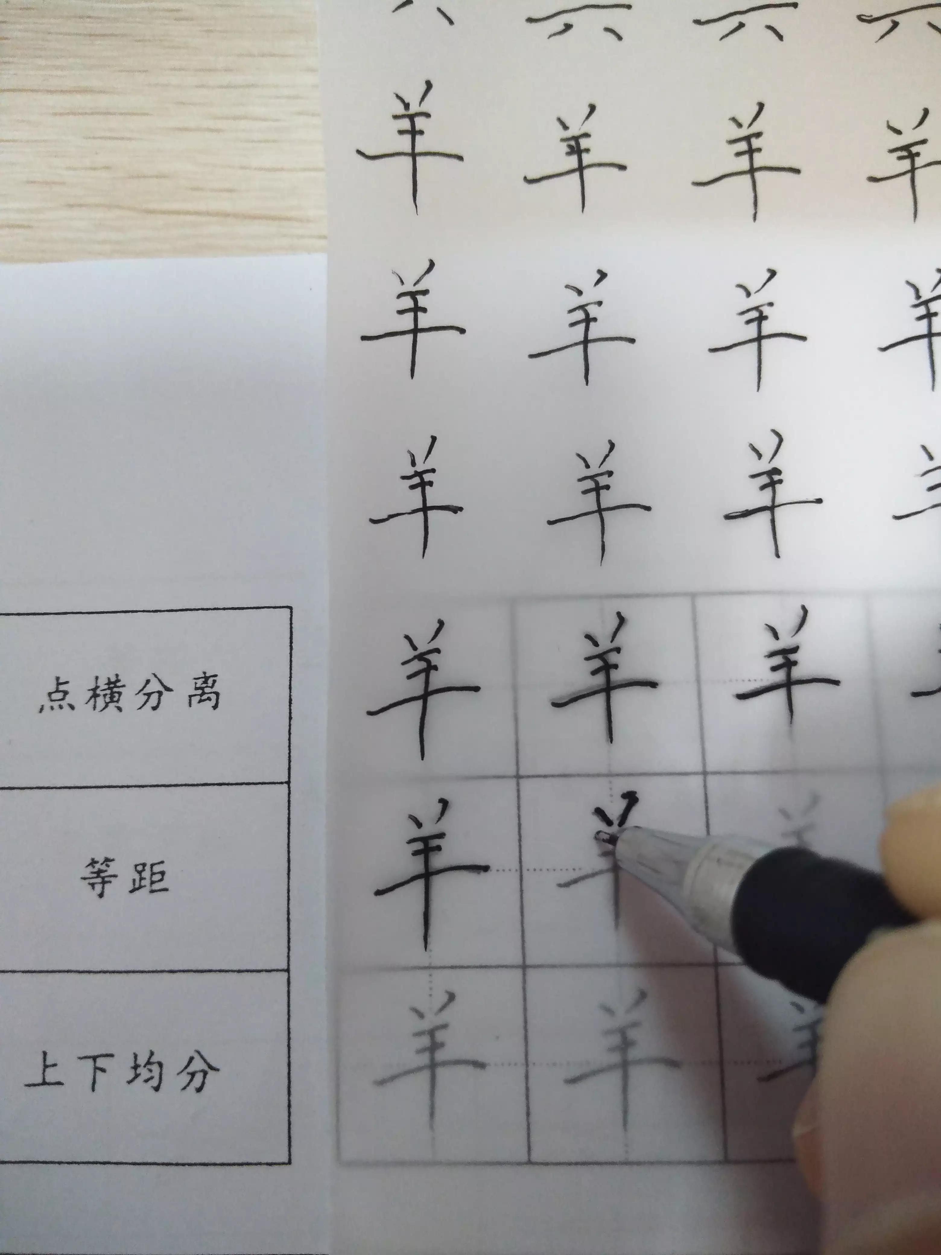 摹字练习第十五天：六羊