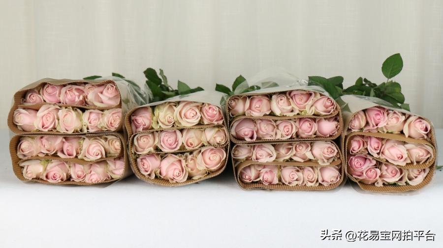 鲜花分级标准依据有哪些,鲜花种类等级排名