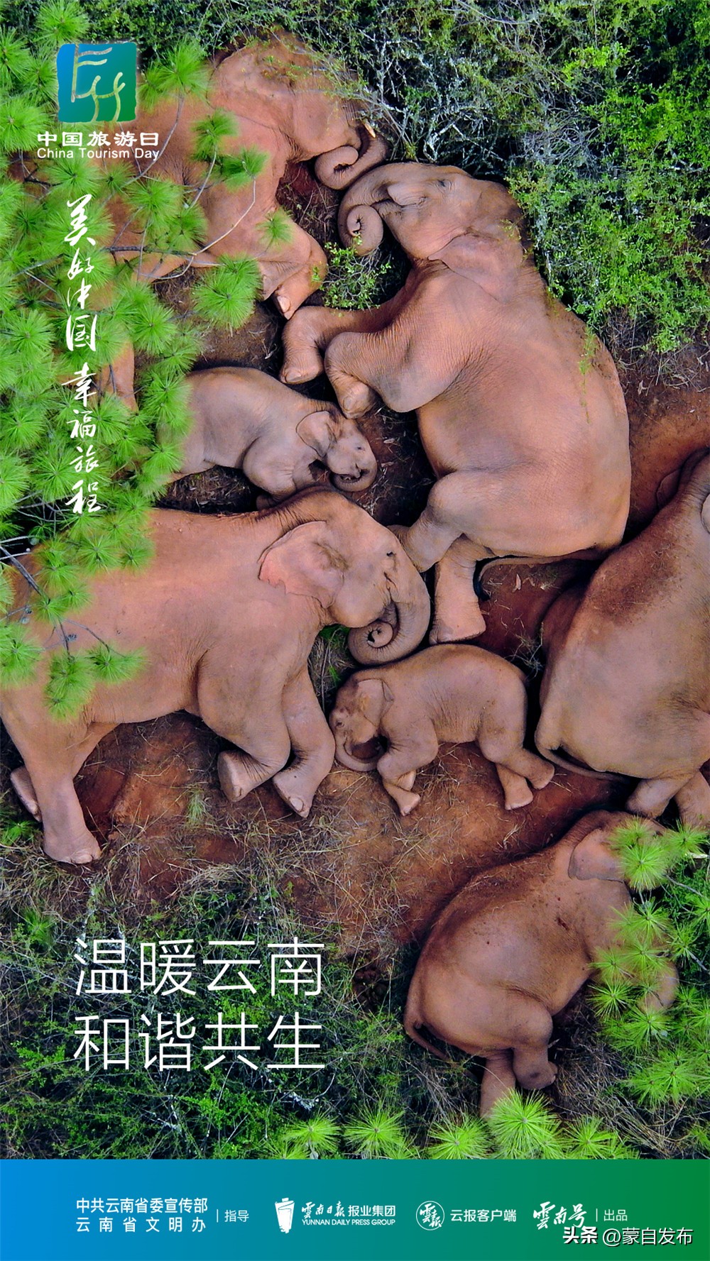 中国旅游日特别策划丨美好中国，幸福旅程