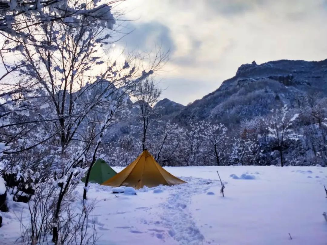 听说你想入坑塔帐？看完这篇文章就够了