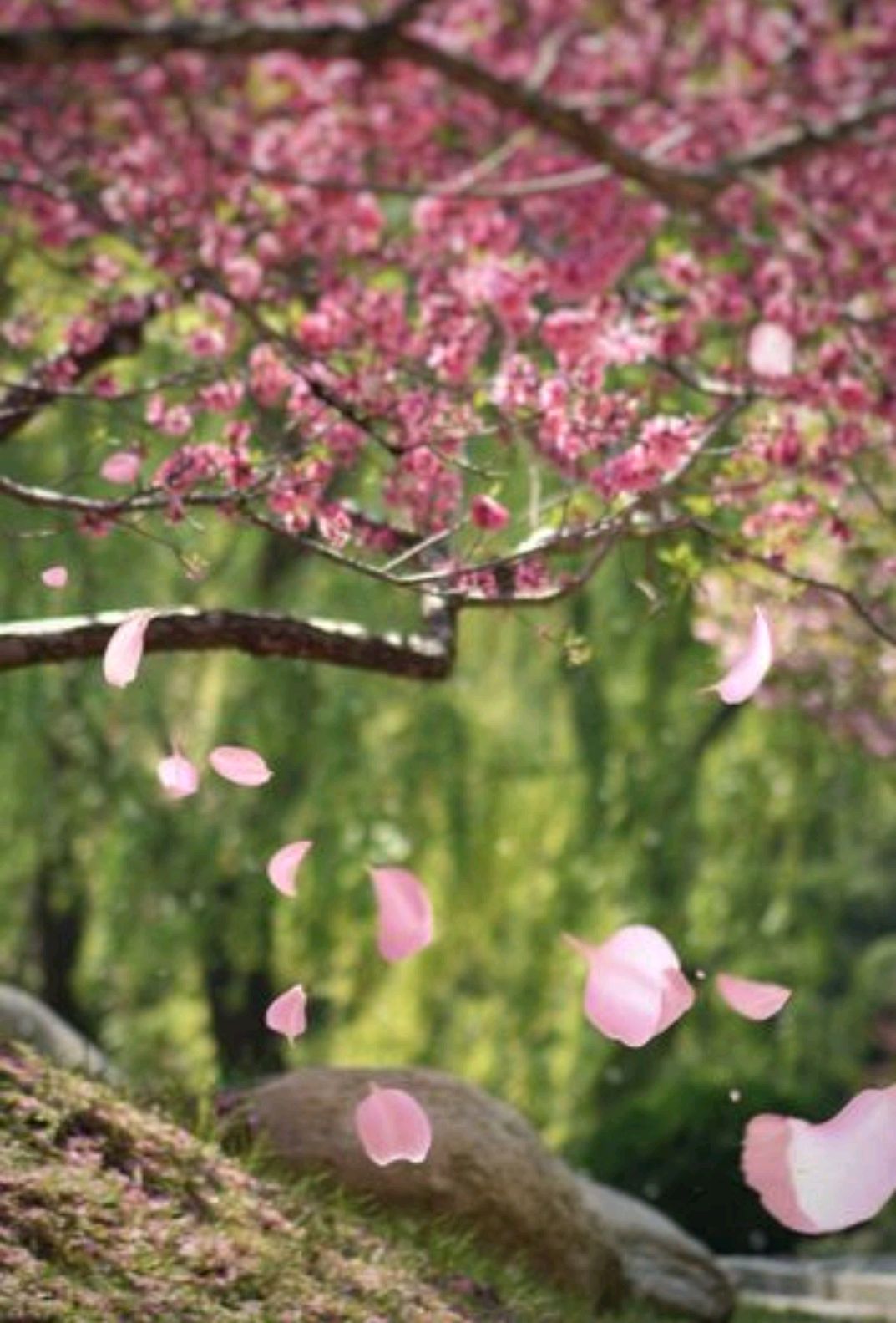 慢赏人生的风景散文,人生最好的风景散文