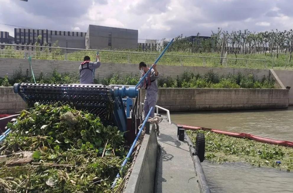 环保市场最新消息,环保市场风向变了