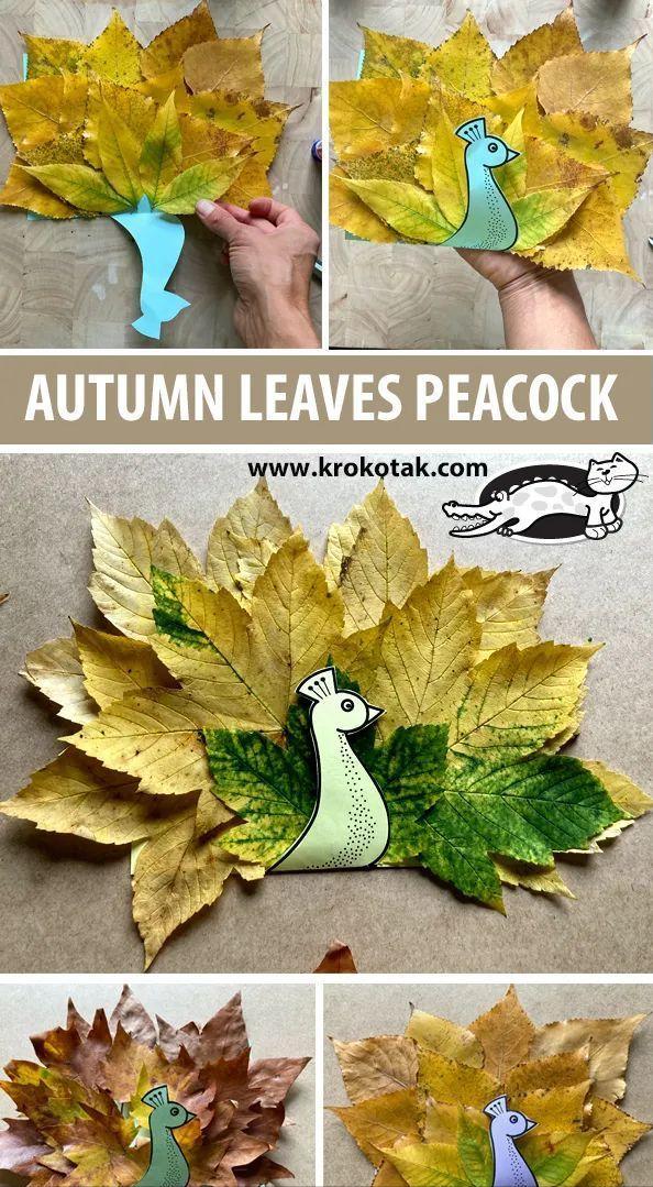 用落叶做一幅秋天的画,用水粉落叶做一幅秋天的画