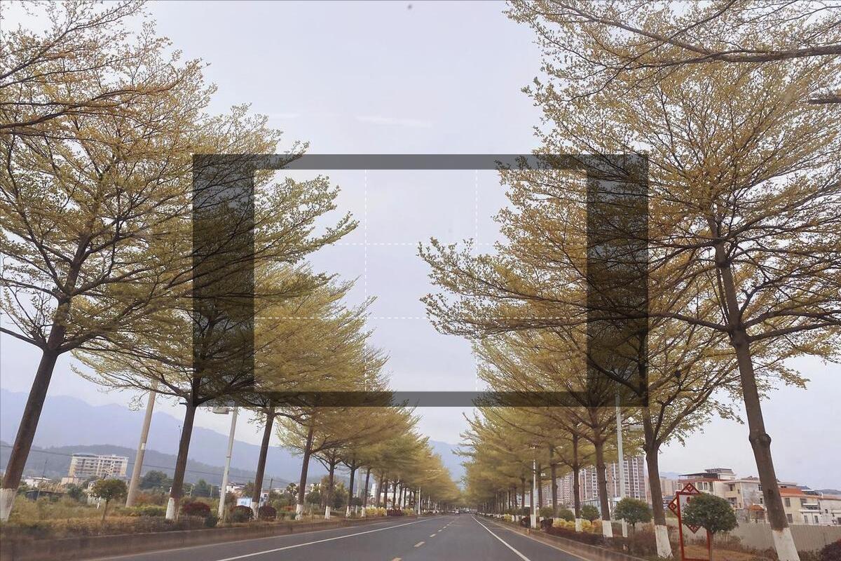 老人把房子卖了给儿子还债,老人为农村孤儿卖房