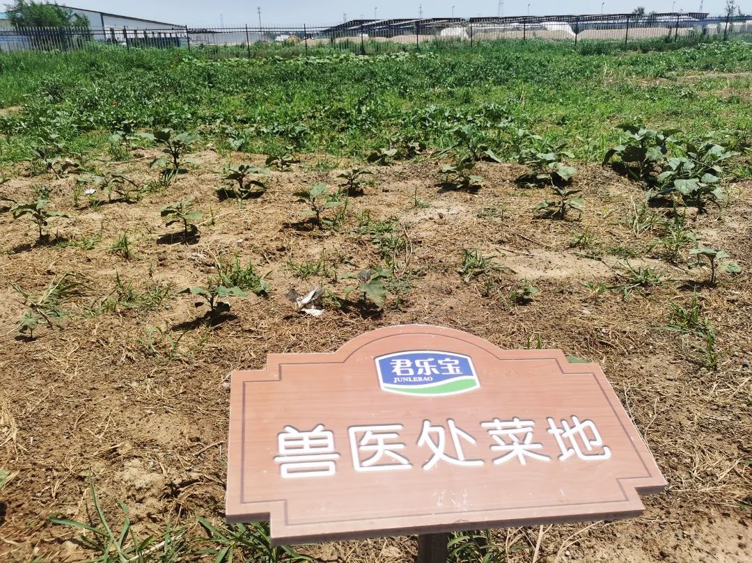 君乐宝威县乐源君享,君乐宝农场纪录片