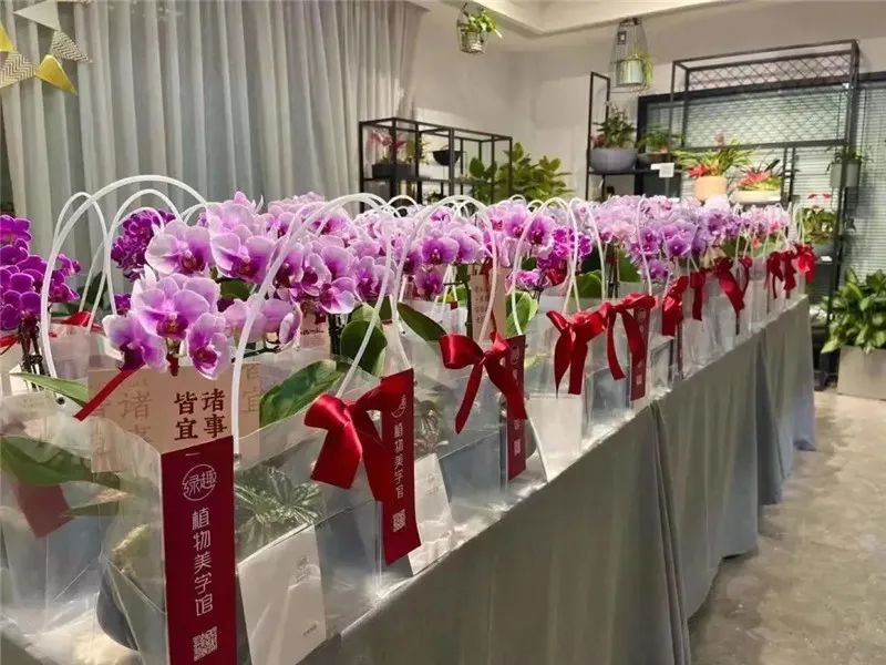 从小花店到年入900万元园艺名企，看温州绿趣的两次转型