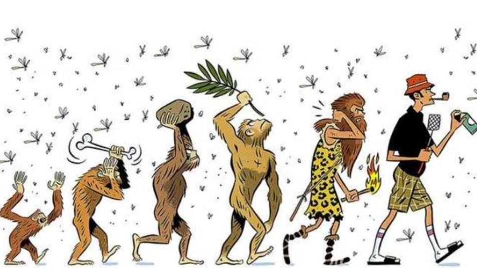 人类全身褪去毛发后，为何只留下了头发、阴毛和腋毛？忘记褪了？