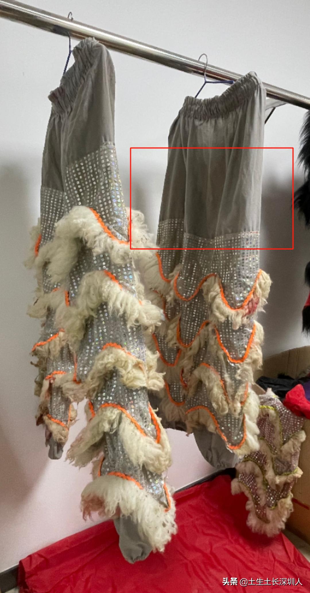 醒狮和瑞狮的区别在哪,醒狮的运动特点