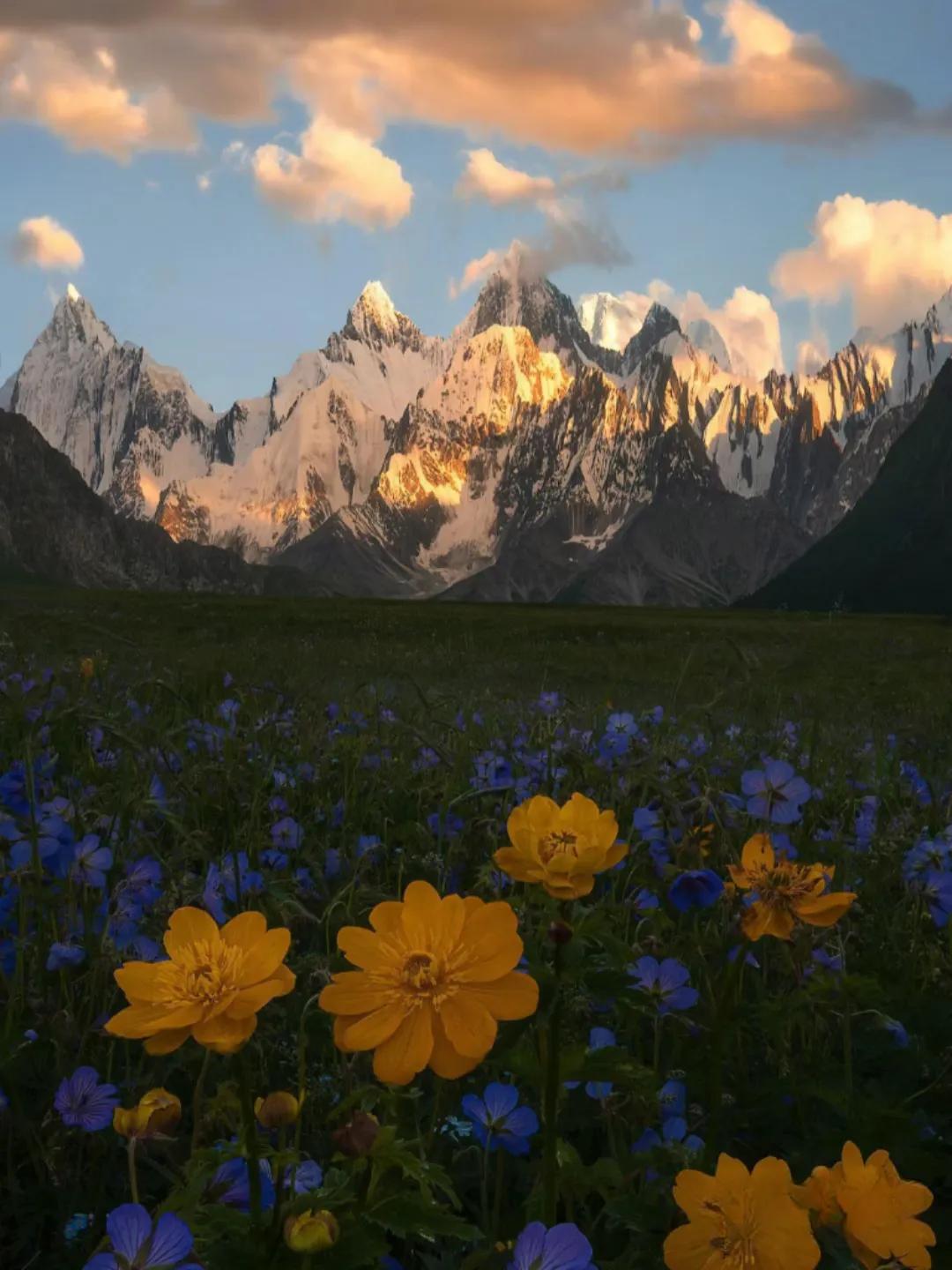 青岛不起眼高薪行业,高薪又稀缺却鲜为人知的职业