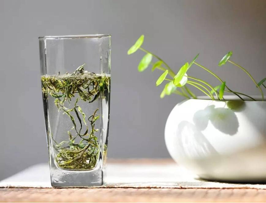 茶叶小知识你适合喝哪种茶,16种茶大解析