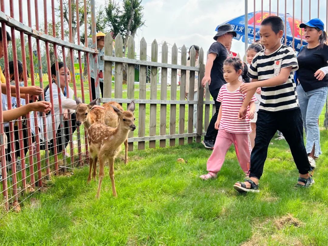 全国第八！合肥这么“热”