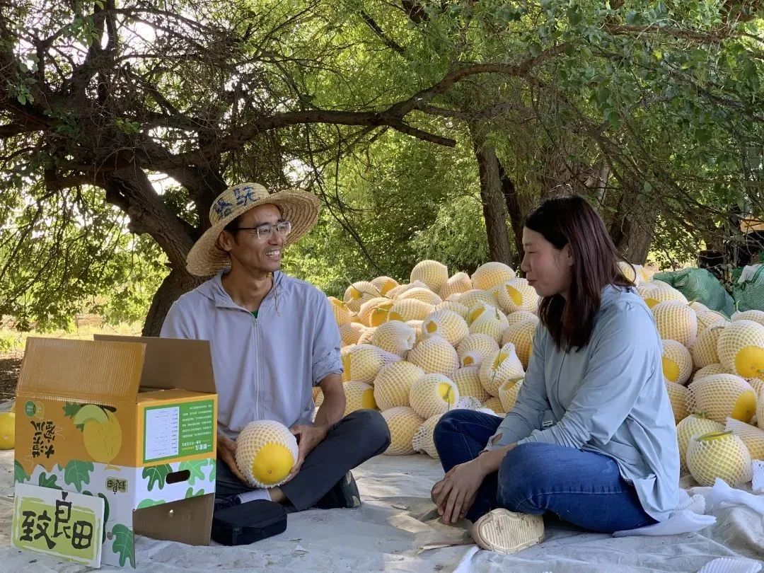 电商助农运营总结,电商助农营销计划