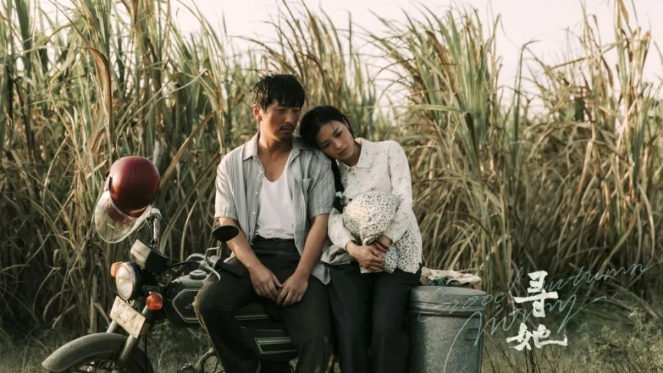 内娱开始爱普男了？