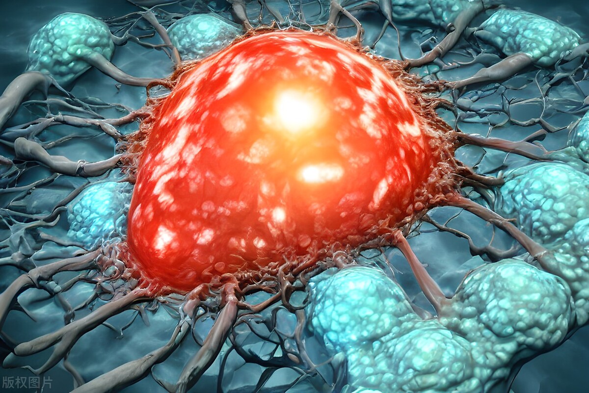 女性感染hpv有什么症状,女性感染hpv有哪些症状