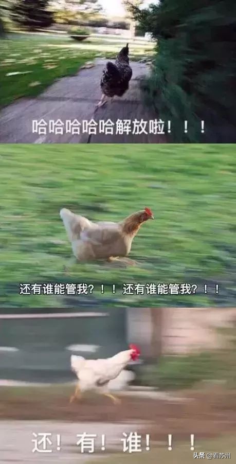 名场面父母辅导作业全程高能瞬间,名场面全国家长辅导作业