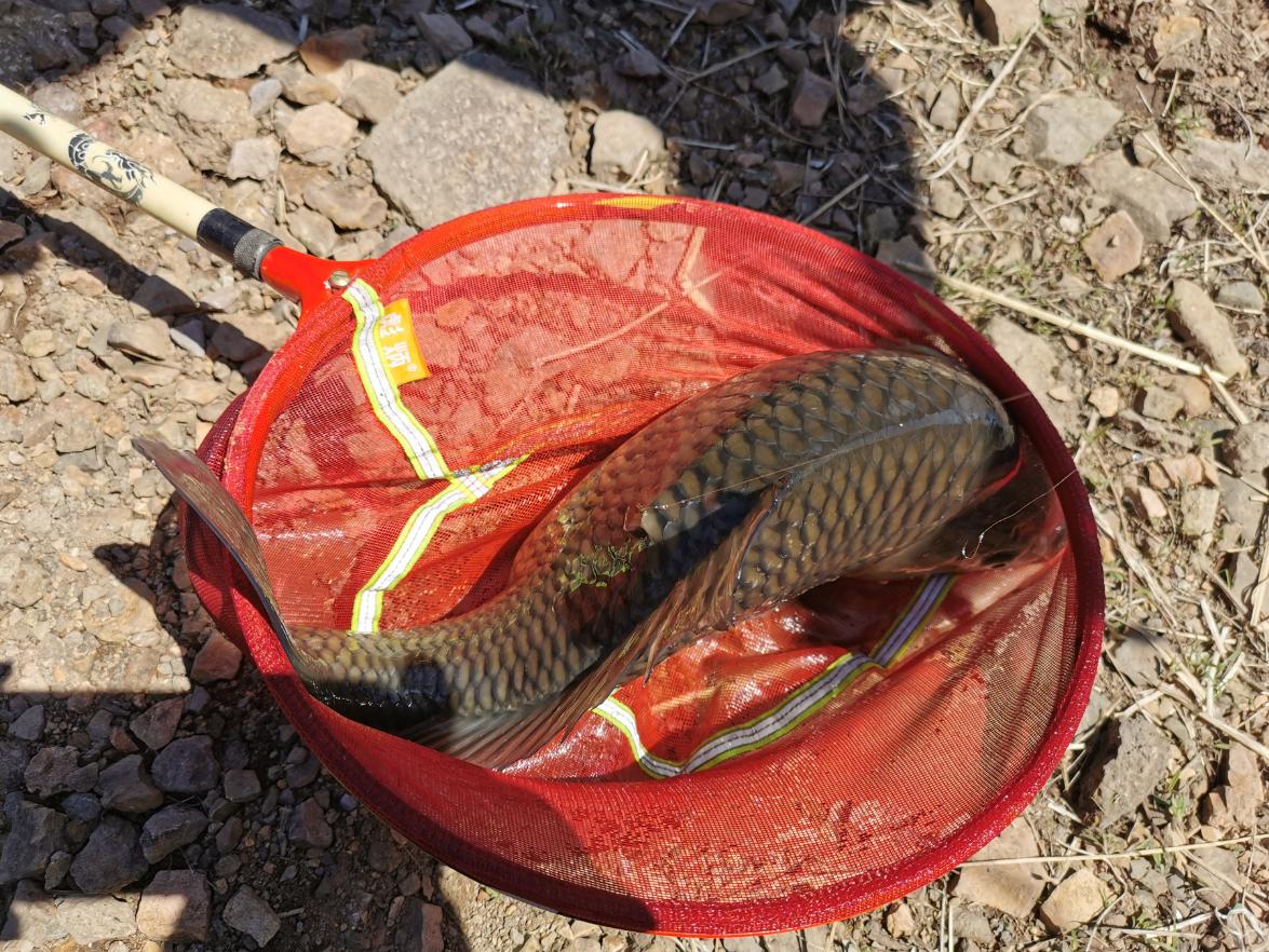 抚顺新宾莫家水库钓鱼,新宾都有哪些水库让钓鱼