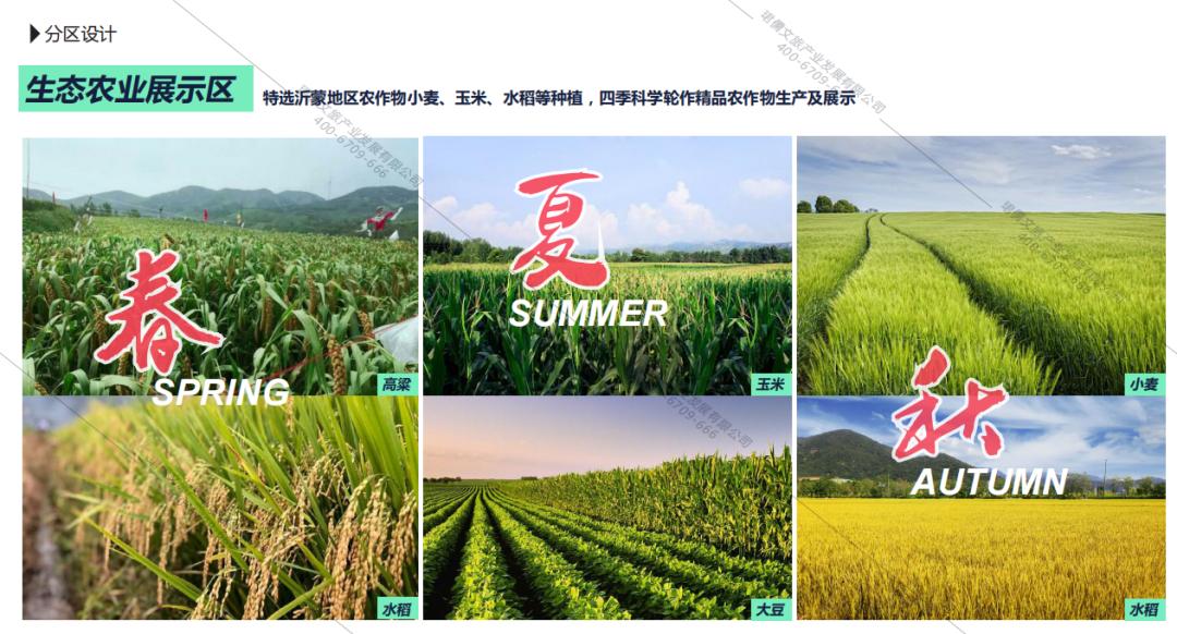 休闲农业与乡村振兴规划设计,乡村振兴农场模式